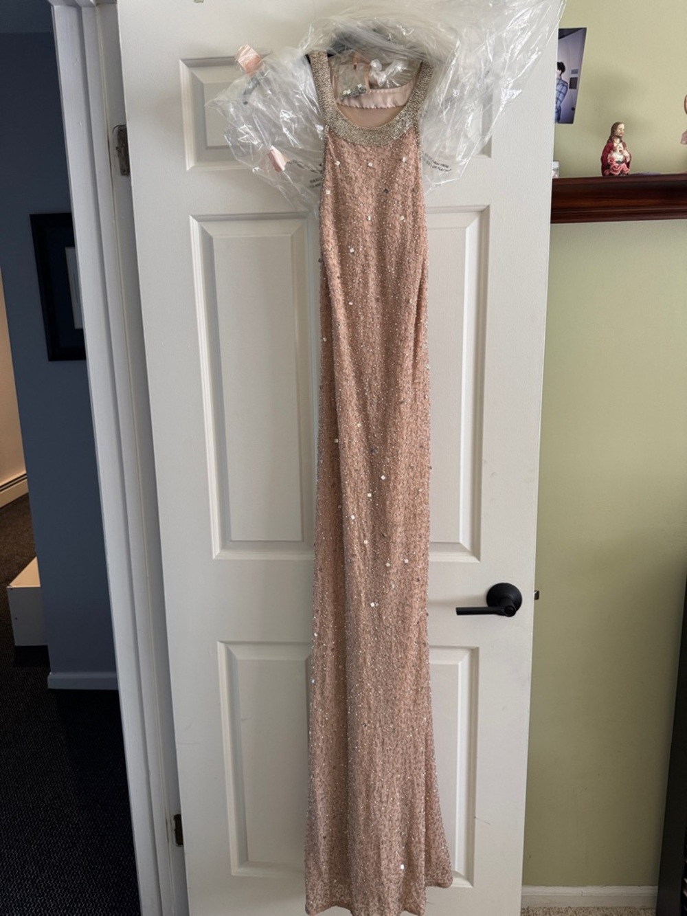 Adrianna Papell Blush Sequin Evening Gown